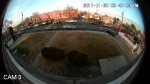 (image for) HD 2.4mp 360 Degree Fisheye Widely Angle View Security Camera